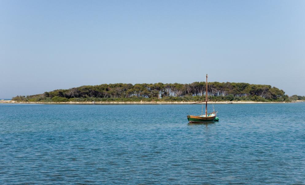 Frontemare Rooms Porto Cesareo Eksteriør billede